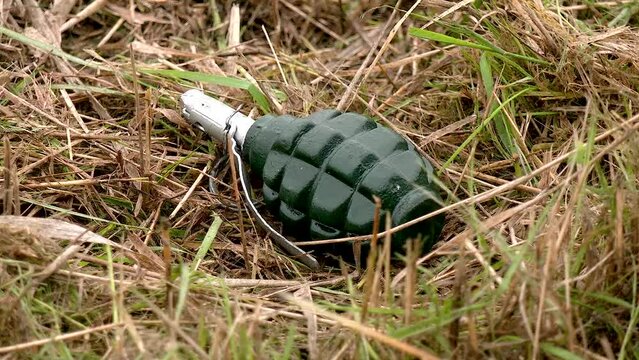 A combat grenade lies in the dry grass. Dangerous stretching with explosives. Mined areas and objects. The Russian army mines the occupied territories. Demining of liberated territories