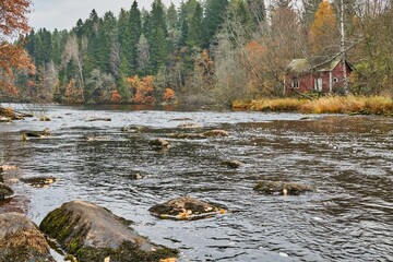 Scenic view of a river flowing in a forest surrounded by a lush forest in autumn on a clear day