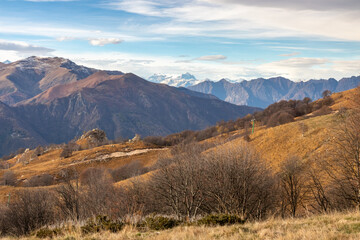 Fra alberi e montagne