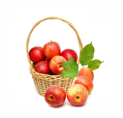 fresh red apples isolated in basket on white background 