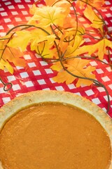 High-angle vertical view of a pumpkin pie over the red checkered surface - fall favorite dessert