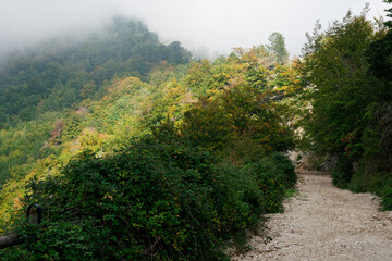 Fototapeta premium Walking path at Monte Semprevisa in the autumn, Monti Lepini Natural Regional Park, Italy