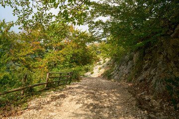 Fototapeta na wymiar Walking path at Monte Semprevisa in the autumn, Monti Lepini Natural Regional Park, Italy