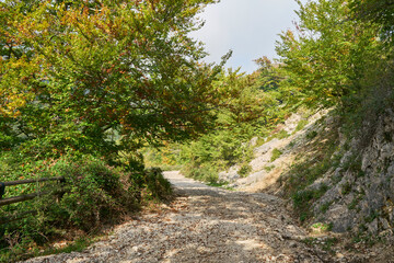 Fototapeta na wymiar Walking path at Monte Semprevisa in the autumn, Monti Lepini Natural Regional Park, Italy