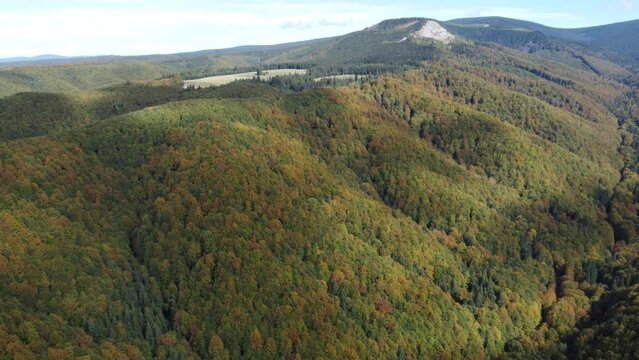 The mountains of the Sovata resort area - Romania
