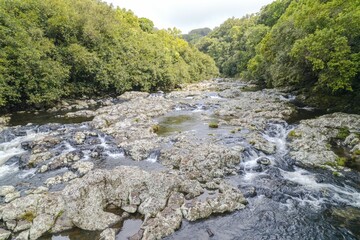 View of a rocky river surrounded by the green trees and a bamboo