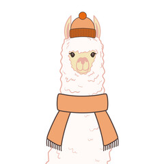 Cute alpaca in a winter hat and scarf. Alpaca portrait.  Illustration on transparent background © tiena