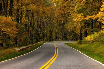 Skyline Drive route surrounded by beautiful trees at the Shenandoah National Park during the fall