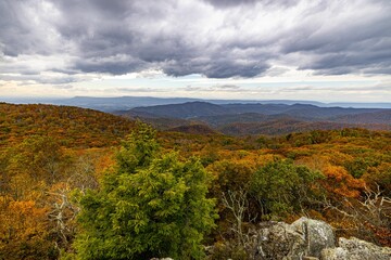 Obraz premium Vertical shot of the Shenandoah National Park with forests and hills during fall on a cloudy day