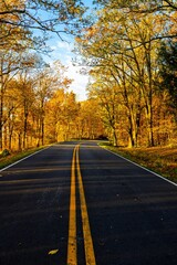 Fototapeta na wymiar Skyline Drive route surrounded by beautiful trees at the Shenandoah National Park during the fall