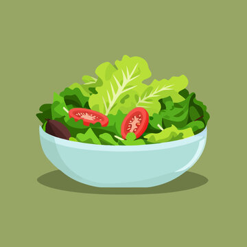 Colorful vector illustration of a green salad