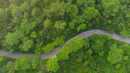 aerial view of beautiful winding road in the middle of the forest