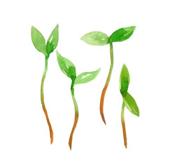 Watercolor micro green set. Hand-drawn illustration isolated on the white background