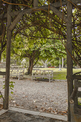 Branch wood frame with a grey bench on gravel floor from puerto rico Luis Muños Rivera park 