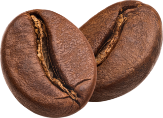 Two roasted coffee beans isolated