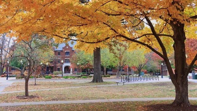 Overcast fall color landscape of the Drury University