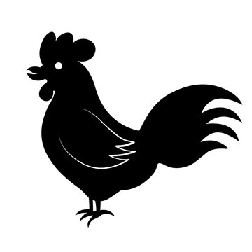 Rooster vector stock illustration. Silhouette of a poultry, a male chicken. Isolated on a white background.