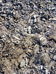 Rock texture