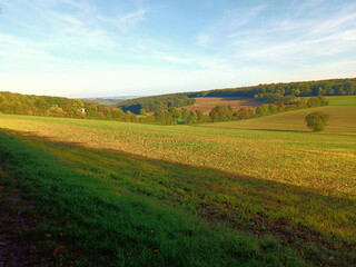 Fototapeta premium Landschaft mit Wiese und Wald in der Nahe-Region von Rheinland-Pfalz auf dem Premium-Wanderweg Vitaltour Kuckucksweg bei Hergenfeld im Landkreis-Bad Kreuznach. 