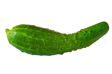 Green single cucumber isolated on white background