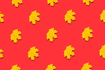Fototapeta na wymiar Yellow autumn leaves on red background
