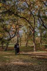 couple walking in park with tall trees