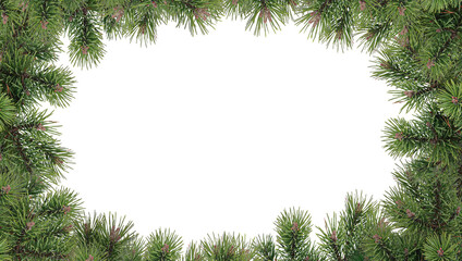 Green Christmas tree branches on a transparent background. Vector. Christmas and New Year border of realistic branches of Christmas tree  isolated on transparent background. Vector illustration.