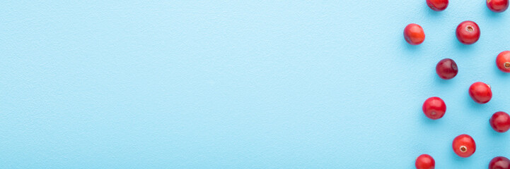 Fresh red cranberries on light blue table background. Pastel color. Closeup. Wide banner. Empty place for text. Top down view.