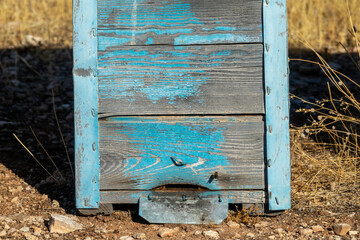 Bees at the entrance of a wooden hive box
