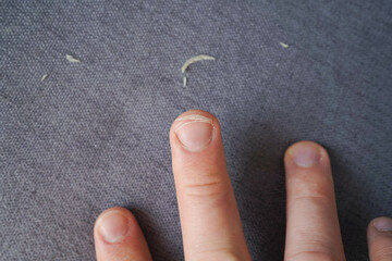 Cut the nails on the hands with nail clippers. Men's manicure. Male hand close up.