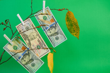 leaves and US dollars hanging on a branch