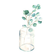Eucalyptus branch in vase, jar. Silver dollar. Watercolor hand drawn botanical illustration isolated on white background. Eco minimalistic style for greeting card, poster.