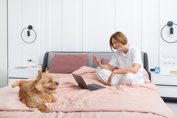 Close up portrait of cute pet dog sitting on bed and woman lying and smiling on background in the bedroom