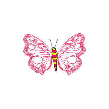 Outline junonia almana butterfly vector icon on white background