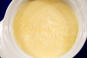 Homemade Vanilla Custard Pudding or Smoothie in a Bowl