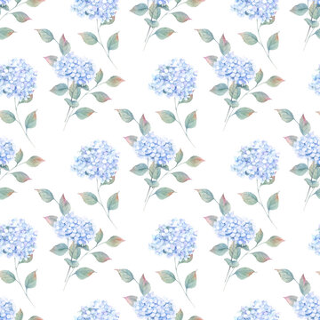 Watercolor seamless pattern witn hortensia, hydrangea. Hand drawn illustration. Floral background