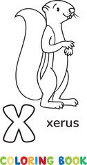 Xerus. Animals ABC coloring book for kids Squirrel