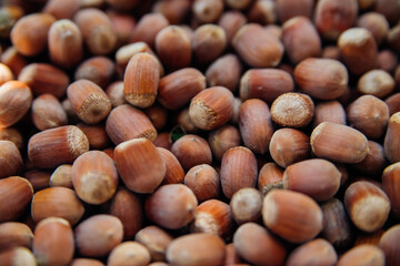 Photo of a hazelnut. The concept of an autumn background made of hazelnuts, healthy, organic brown hazelnuts. Food background.