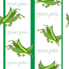 Fototapeta na wymiar Seamless pattern of batch, bundle of green peas with leaves and pads of open peas. Vegetables no nitrates, farm product helpful. lettering without taking your hands off the line.