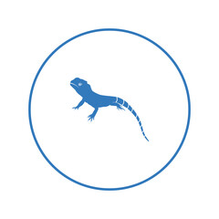 Wild animal bearded dragons icon | Circle version icon |