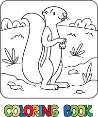Funny xerus or squirrel. Kids vector coloring book