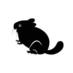Cute pet chinchillas rodent icon | Black Vector illustration |