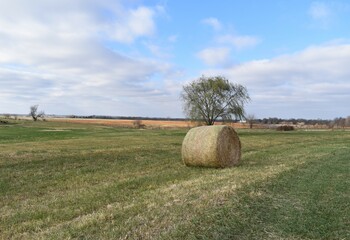 Hay Field