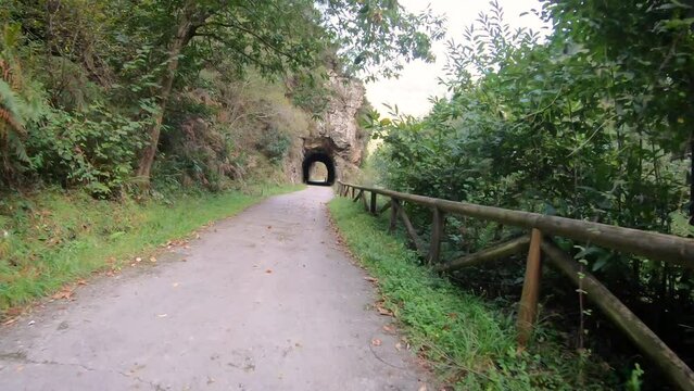 Senda del Oso (Bear Trail) - green Way Entrago/Proaza, Asturias, Spain - dolly forward