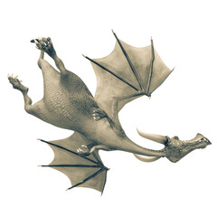 dragon cartoon up side down view