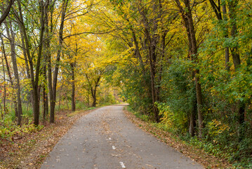 Trees In Fall Color Along The Local Trail In October