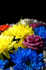 Bouquet of multicolored chrysanthemums and roses in dark with light from above vertical background  
