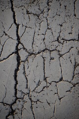 Fototapeta premium texture of white paint for road marking on asphalt, texture of painted asphalt cracked texture white background, white background on gray asphalt, pedestrian crossing, new road marking close up