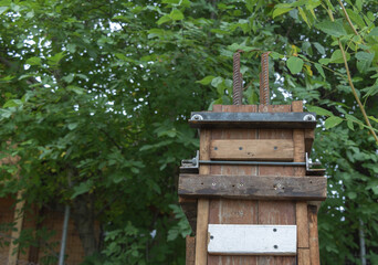 In the process of building the concrete column - wooden formwork is fixed. Green trees background