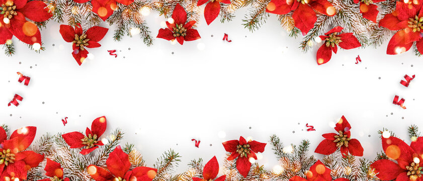 Merry Christmas frame made of fir branches and holiday red flowers, blur, light on white background. Happy New Year and Xmas, top view, wide banner